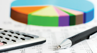 Financial Highlights 2024